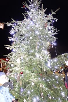 Rozsvěcení vánočního stromu 